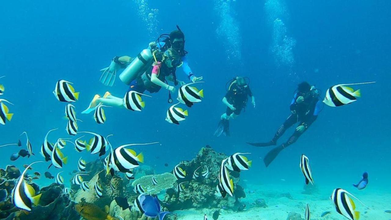 Sunia Loka Bungalows & Dive Center Pemuteran Zewnętrze zdjęcie