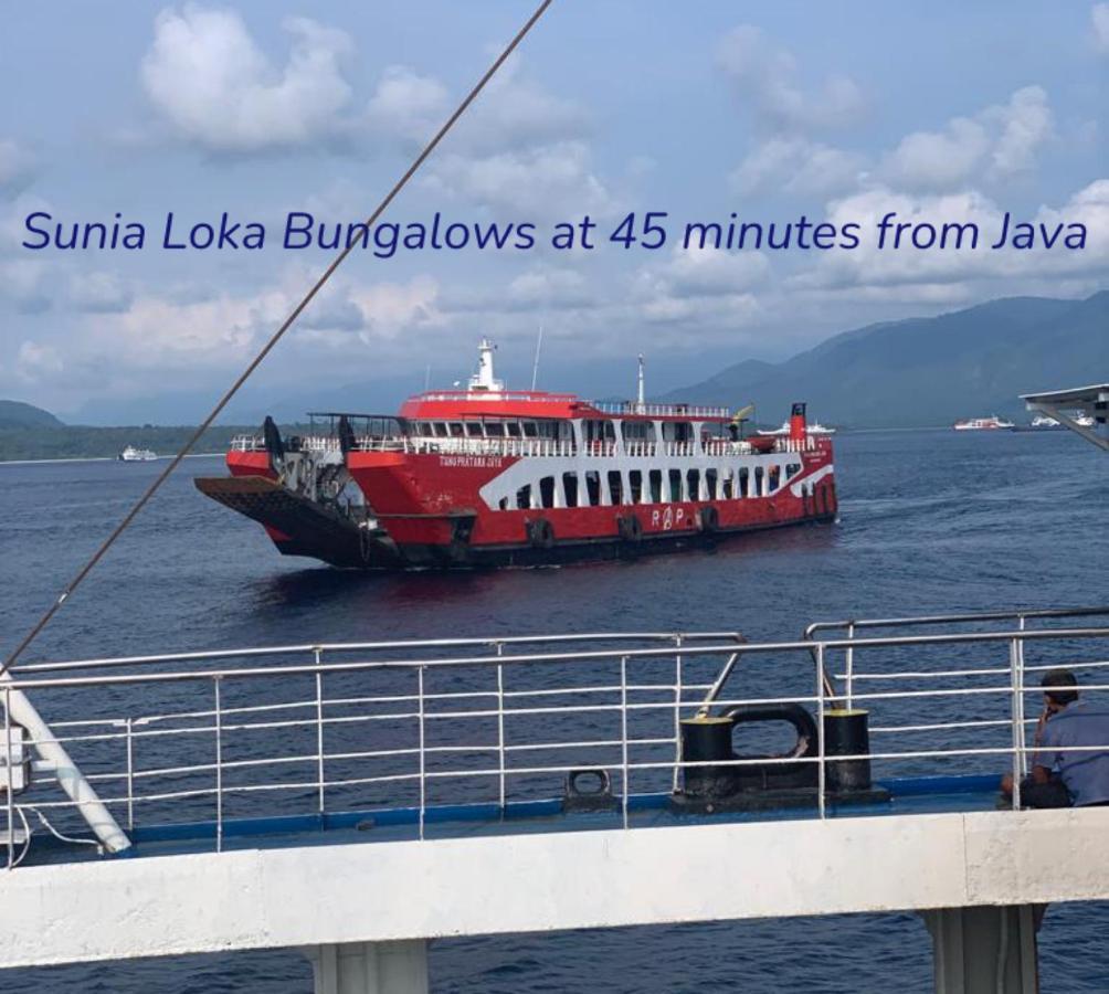 Sunia Loka Bungalows & Dive Center Pemuteran Zewnętrze zdjęcie