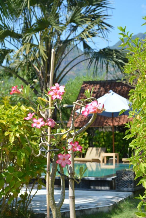 Sunia Loka Bungalows & Dive Center Pemuteran Zewnętrze zdjęcie