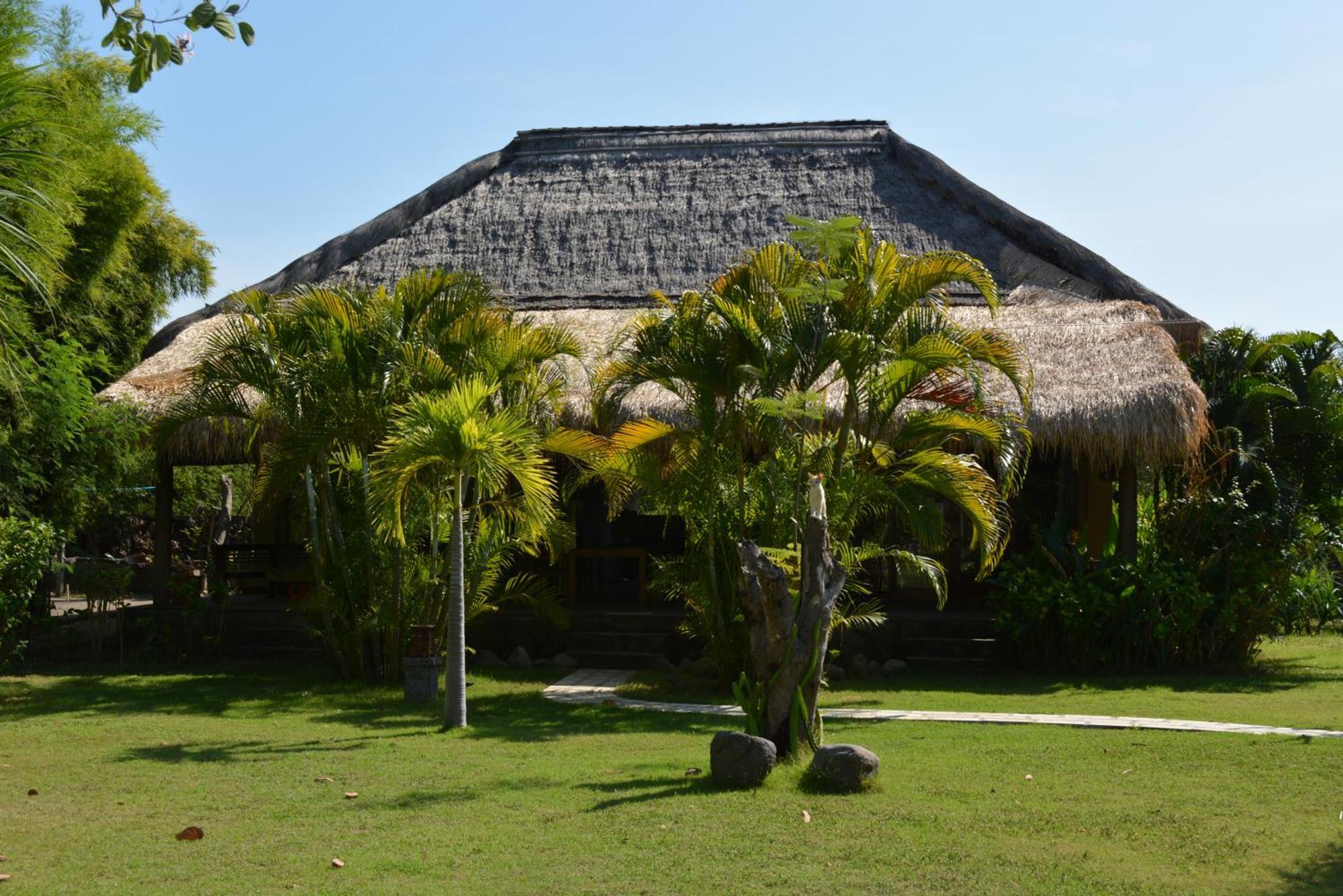 Sunia Loka Bungalows & Dive Center Pemuteran Zewnętrze zdjęcie
