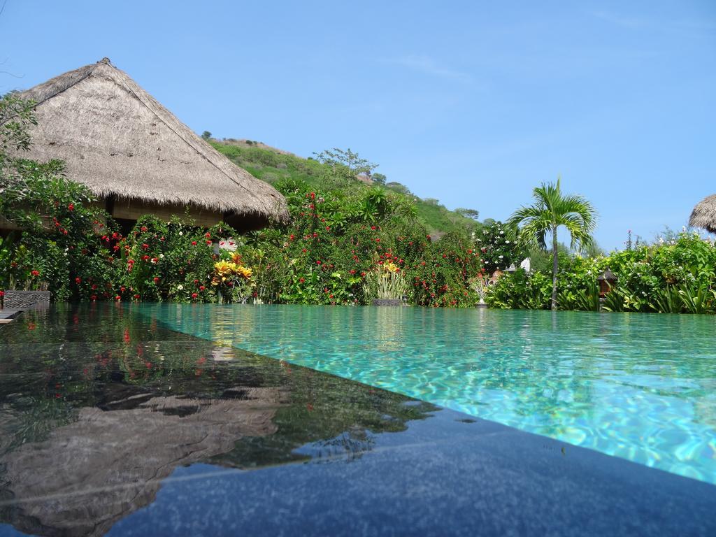 Sunia Loka Bungalows & Dive Center Pemuteran Zewnętrze zdjęcie