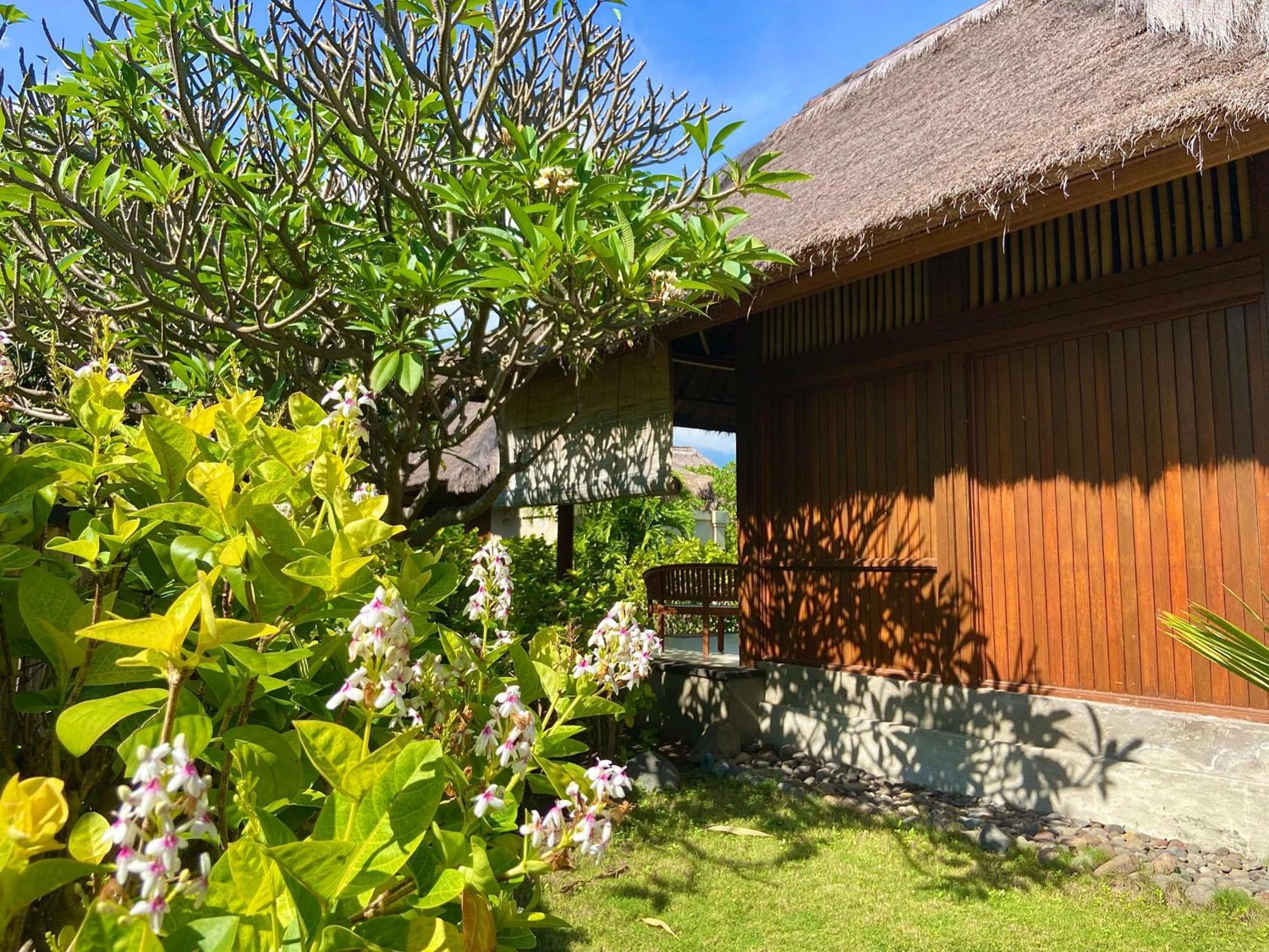 Sunia Loka Bungalows & Dive Center Pemuteran Zewnętrze zdjęcie