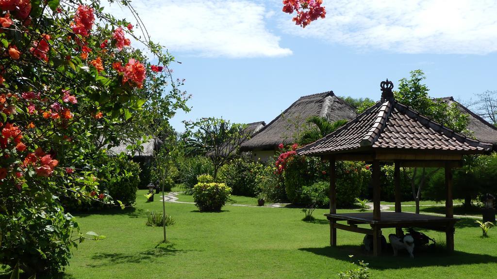 Sunia Loka Bungalows & Dive Center Pemuteran Zewnętrze zdjęcie