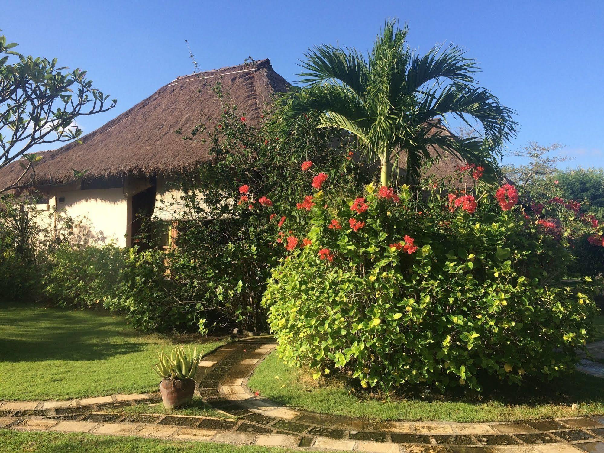 Sunia Loka Bungalows & Dive Center Pemuteran Zewnętrze zdjęcie