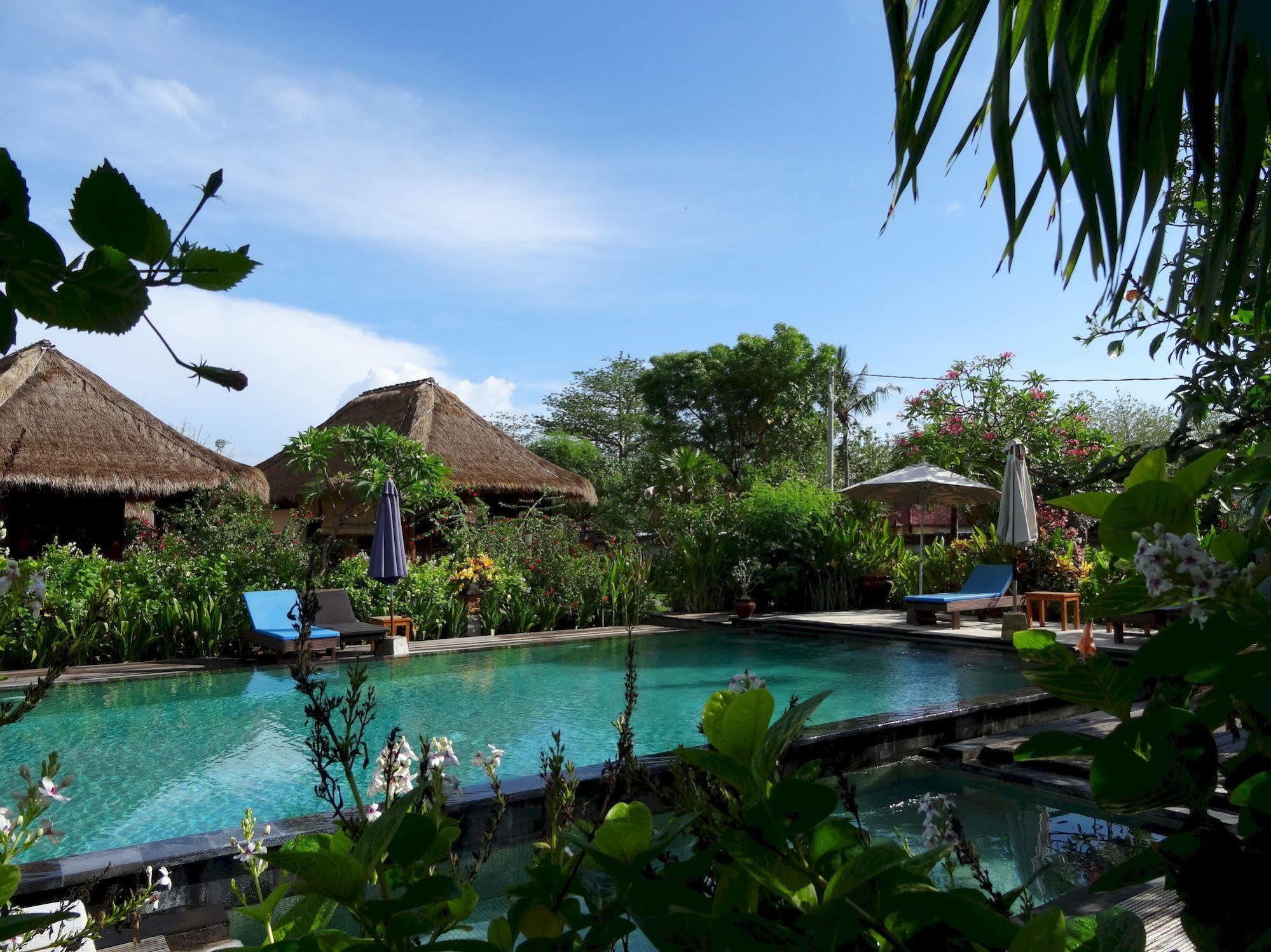 Sunia Loka Bungalows & Dive Center Pemuteran Zewnętrze zdjęcie