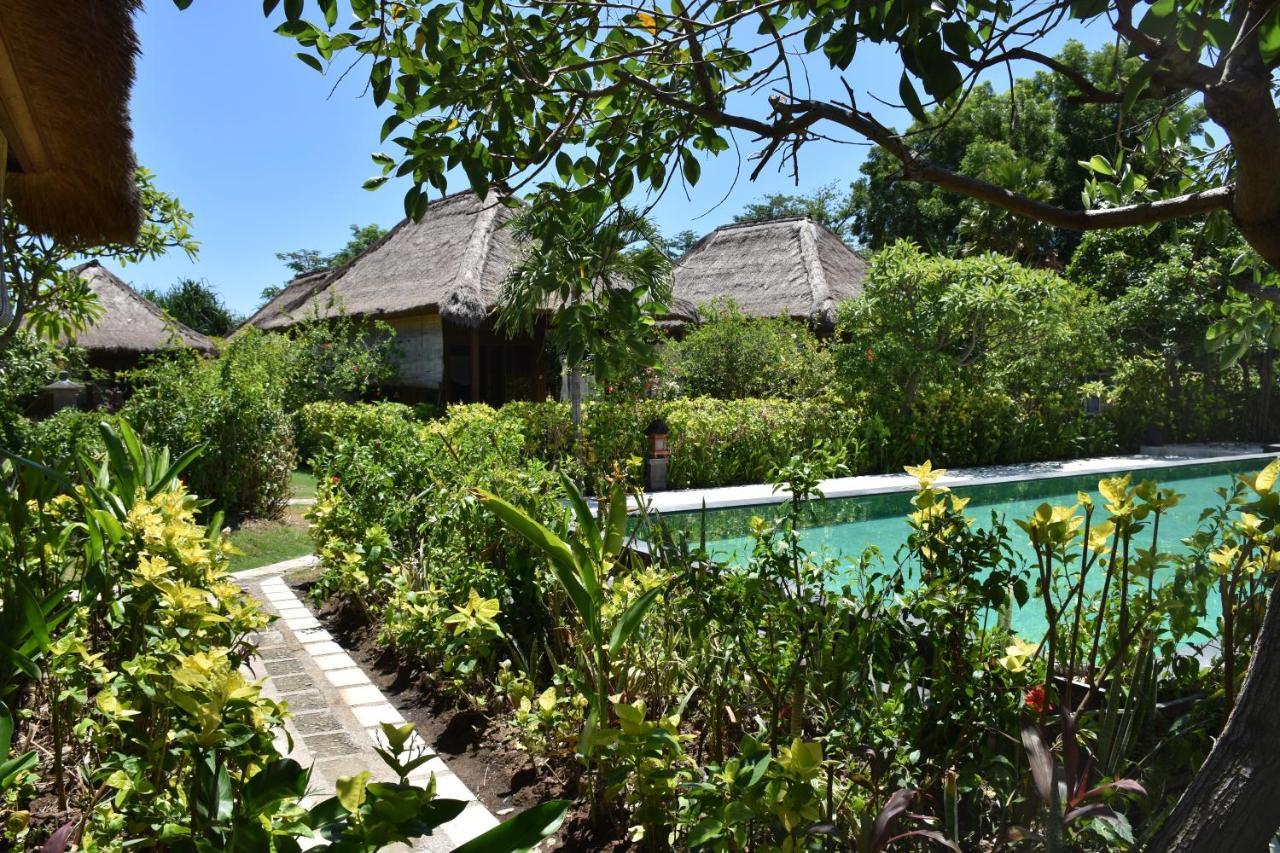 Sunia Loka Bungalows & Dive Center Pemuteran Zewnętrze zdjęcie
